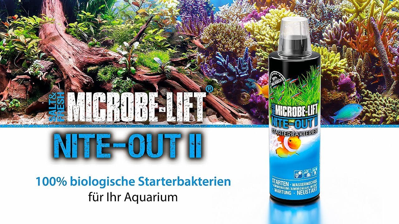 MICROBE LIFT - Nite-Out II (Salt and Fresh Water Nitrite Reducer)