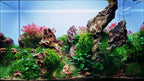 YASAM - Dragon Rocks Stones Various size available 5-20cm