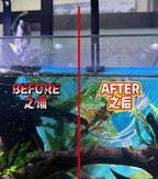 SEACHEM - Aquarium Polisher Clarity Water Conditioner for Clear & Healthy Tanks 250ml