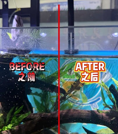 SEACHEM - Aquarium Polisher Clarity Water Conditioner for Clear & Healthy Tanks 250ml