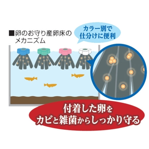 GEX - 日本青鳉鱼产卵海绵