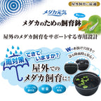 GEX - Medaka Rice Fish, Killifish Plastic Bowl 37-42cm Black Brown Branite