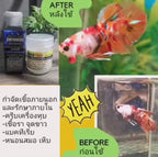 GOLDEN BETTA - All in 1 Healing Cotrixide (Prevent and kill disease-causing factors)
