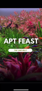 APT - Feast Aquasoil Natural Black Soil no need to dose for fresh start 2L