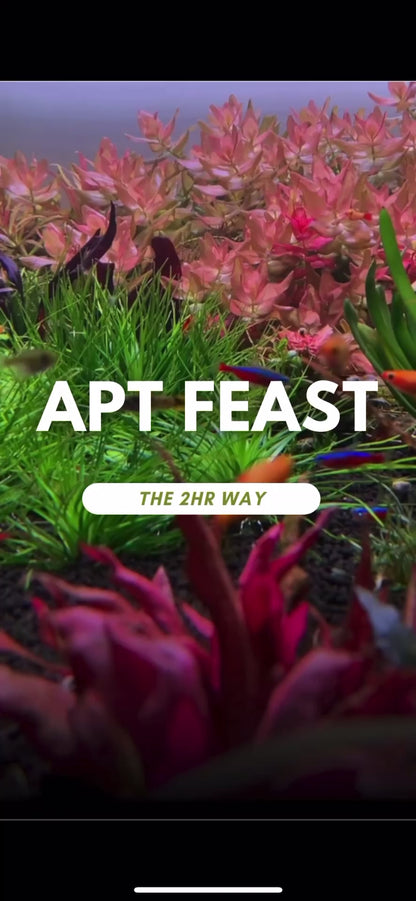 APT - Feast Aquasoil Natural Black Soil no need to dose for fresh start 2L