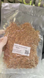 YASAM - Seeseid Betta Herbs (Interfish Thailand)