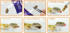 HIKARI - LeopaGel Complete Diet for Leopard Geckos & Insect-Eating Reptiles