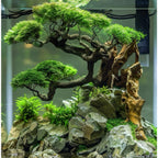 AQUATIC FARMER - Aquarium Glue 50g Safe for Aquascape