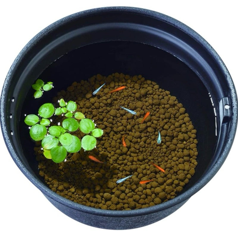 GEX - Natural Filtering Soil Black or Red Ball Soil for Medaka Rice Fish 2kg