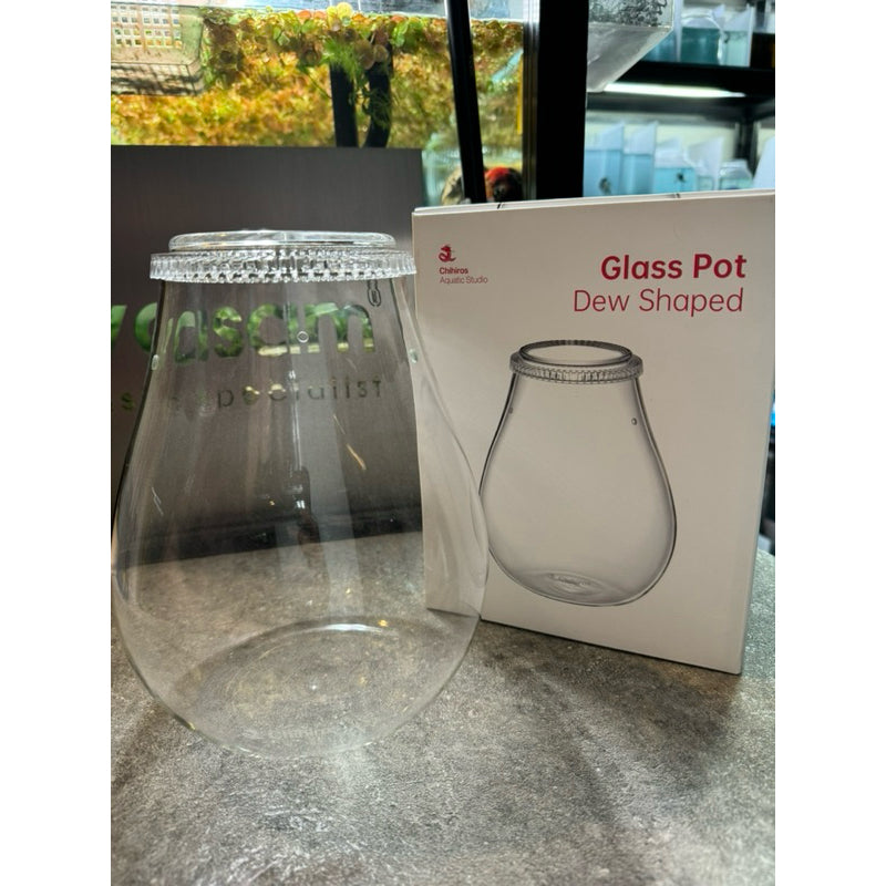 CHIHIROS - Glass Pot Dew with Ventilation Hole for Terrarium Aquascape