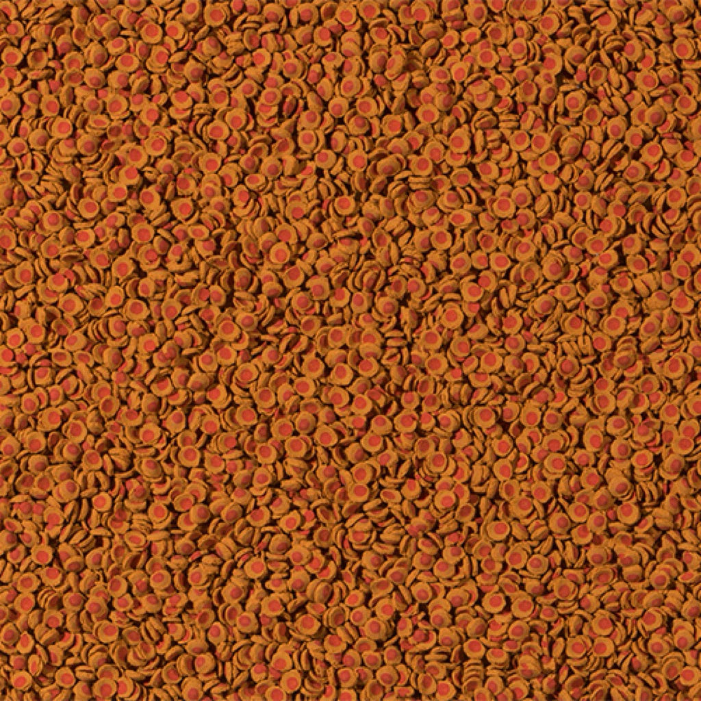 TETRA - Cory Wafers made from Shrimp Sinking food for bottom dwellers