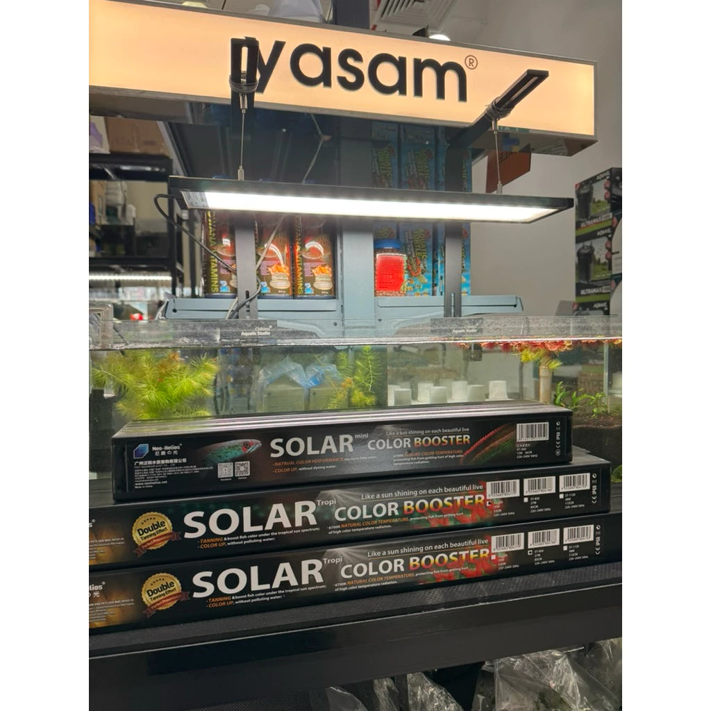 NEO HELIOS - Aquarium Solar Booster Submersible Aquarium Light Tanning for Gold Fish, Arowana