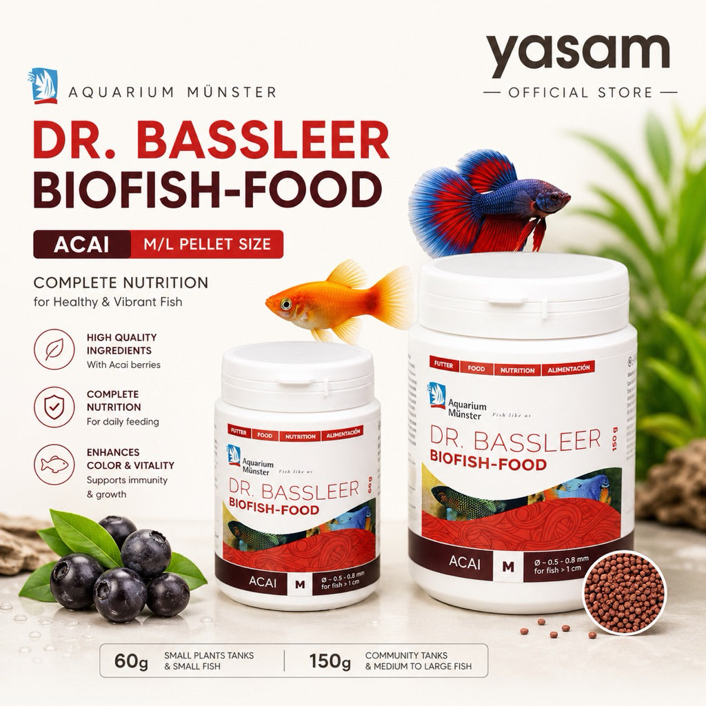 Aquarium Münster Dr. Bassleer - ACAI Colour & Immunity Fish Food 60g 150g M Size L Size