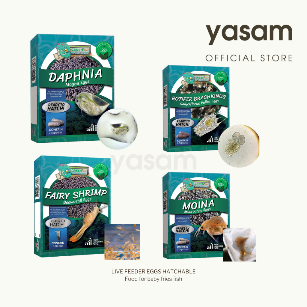 GREENWATERFARM - Chlorella Powder Green Water for feeding Boon Daphnia, Fairy Shrimps, Copepods