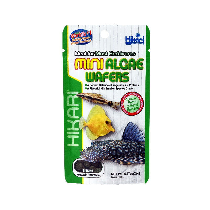 HIKARI - Algae Wafers for Algae eaters (pleco and otto fish food)