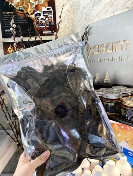 YASAM - (Super Dark Indo Grade) Daun Ketapang Almond India