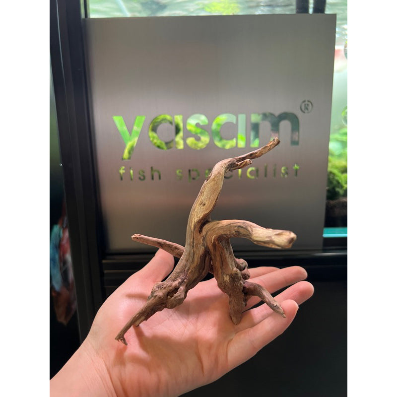 YASAM - 真正的浮木（精确的一块）